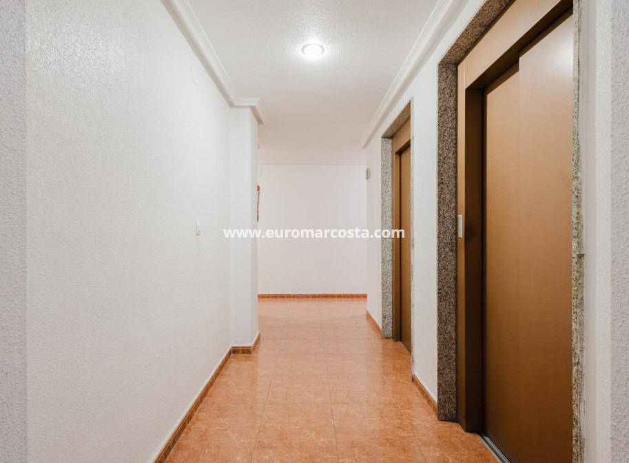 Sale - Apartment / flat - Torrevieja - TORREVIEJA