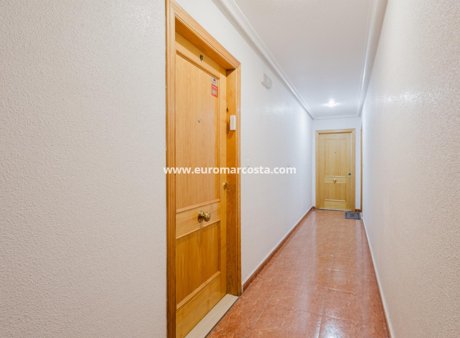 Sale - Apartment / flat - Torrevieja - TORREVIEJA