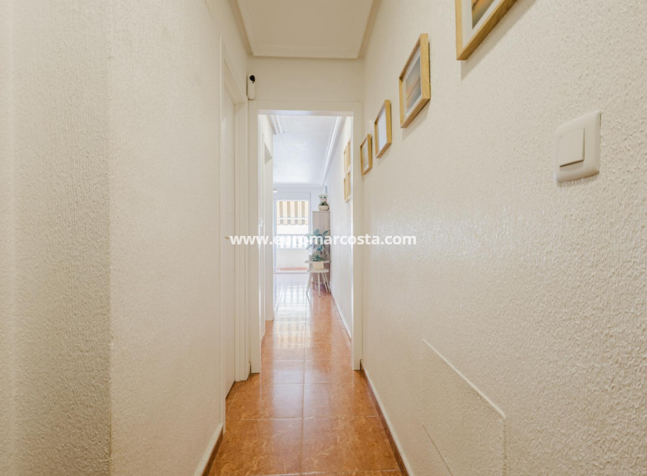 Sale - Apartment / flat - Torrevieja - TORREVIEJA