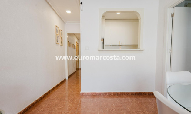 Sale - Apartment / flat - Torrevieja - TORREVIEJA