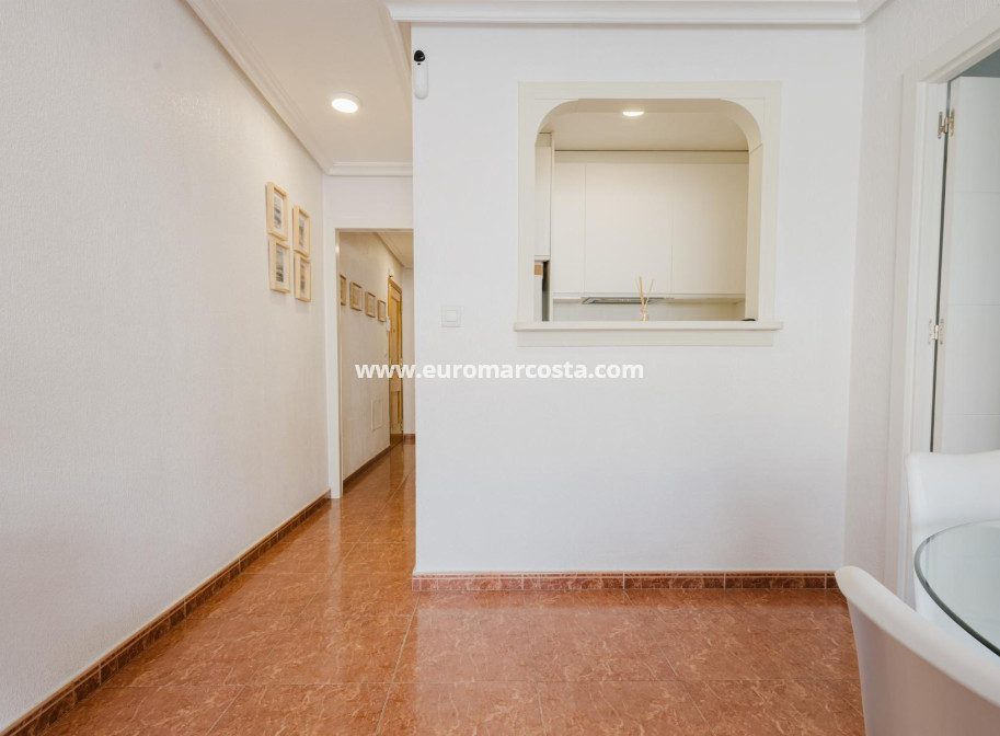 Sale - Apartment / flat - Torrevieja - TORREVIEJA