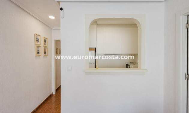 Sale - Apartment / flat - Torrevieja - TORREVIEJA