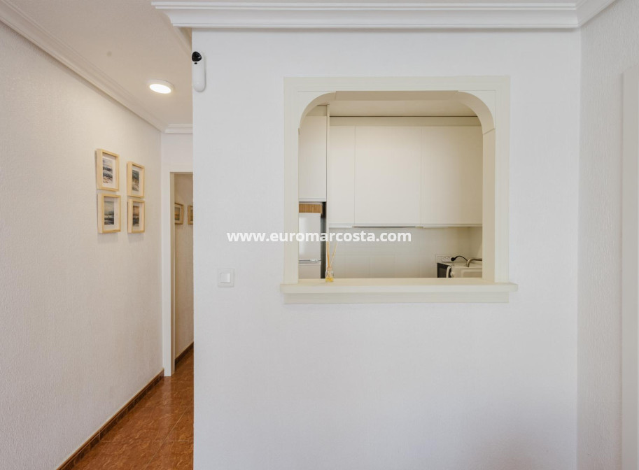 Sale - Apartment / flat - Torrevieja - TORREVIEJA