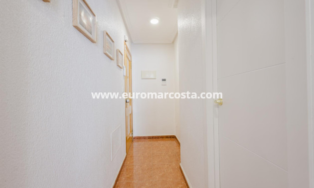 Sale - Apartment / flat - Torrevieja - TORREVIEJA