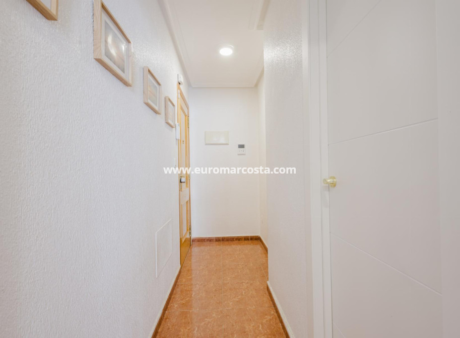 Sale - Apartment / flat - Torrevieja - TORREVIEJA