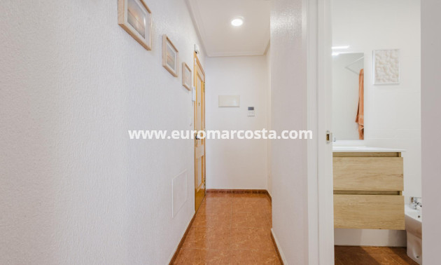 Sale - Apartment / flat - Torrevieja - TORREVIEJA