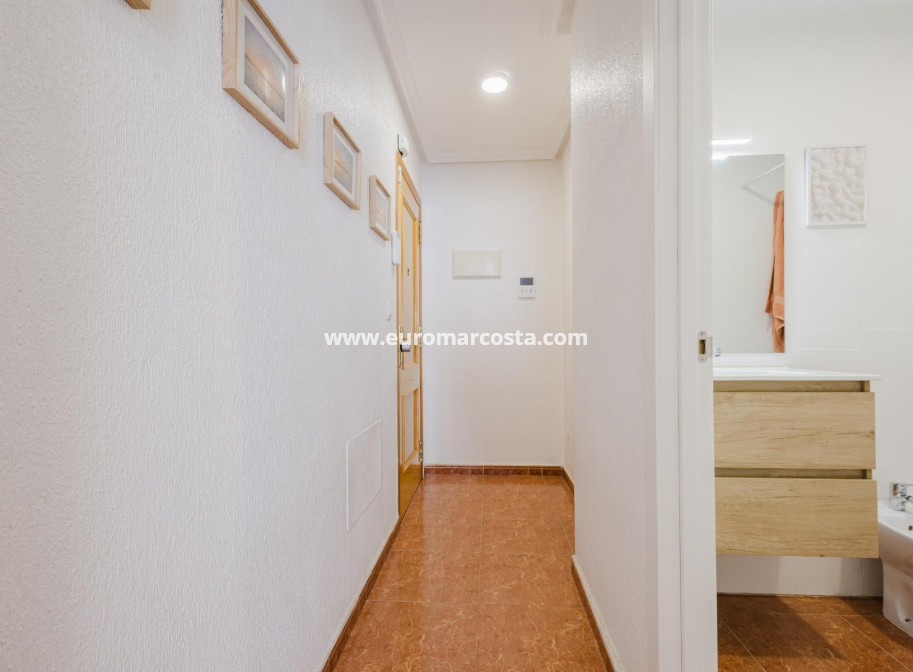 Sale - Apartment / flat - Torrevieja - TORREVIEJA