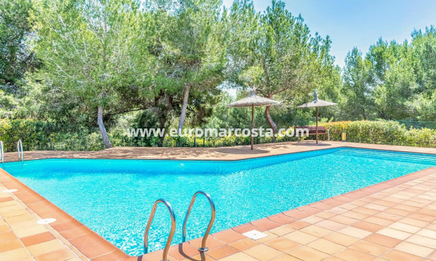 Sale - Apartment / flat - Orihuela Costa - Las Colinas Golf