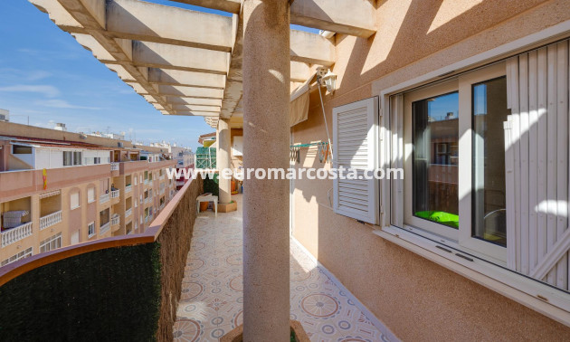 Objekte zum Wiederverkauf - Wohnung - Torrevieja - TORREVIEJA