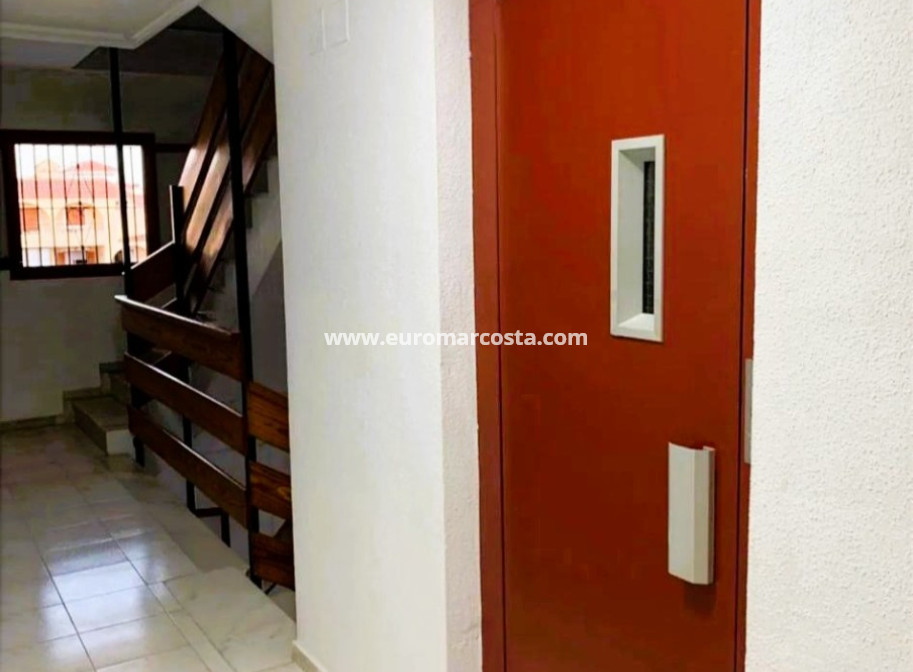 Objekte zum Wiederverkauf - Wohnstudio - La Mata