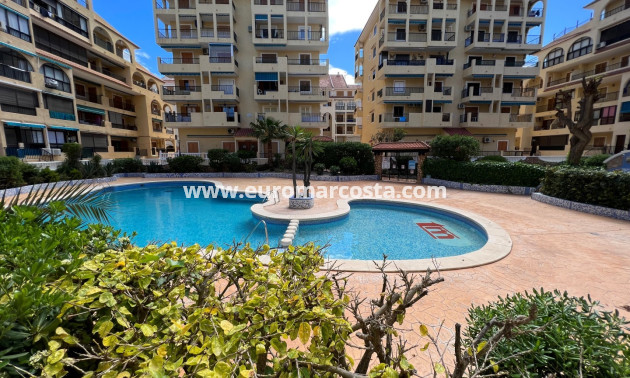 Objekte zum Wiederverkauf - Wohnstudio - La Mata