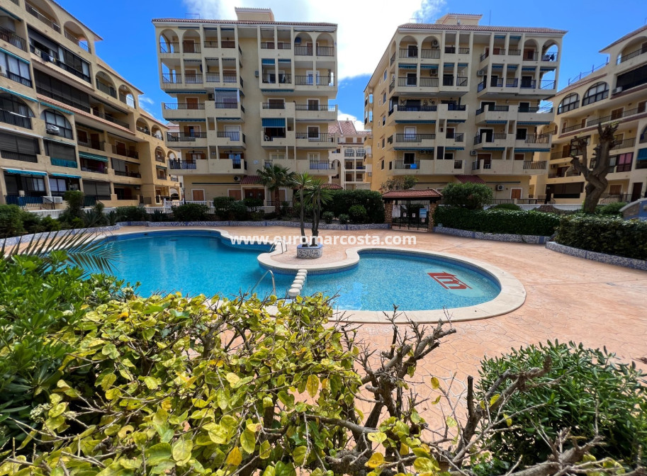 Objekte zum Wiederverkauf - Wohnstudio - La Mata