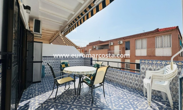 Venta - Apartamento / piso - La Mata