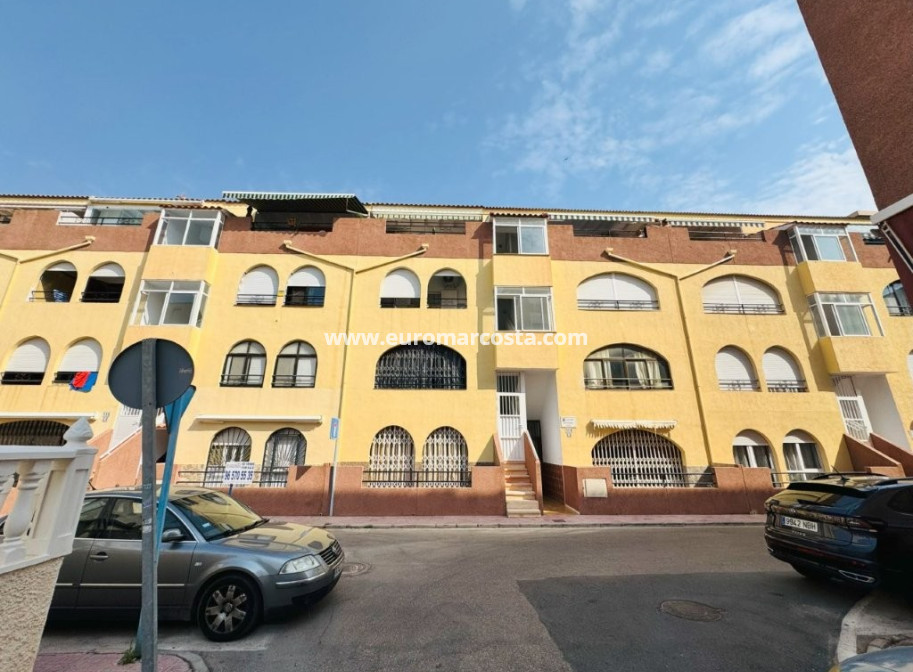 Venta - Apartamento / piso - La Mata