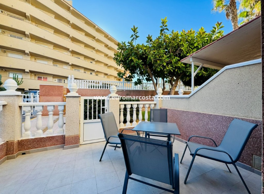 Sale - Apartment / flat - La Mata - Alanis