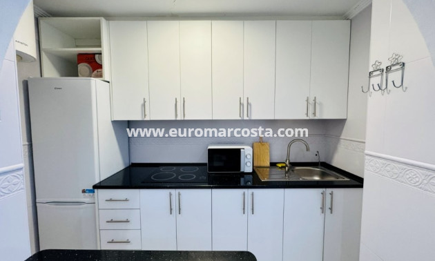 Sale - Apartment / flat - La Mata - Alanis