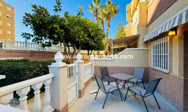 Sale - Apartment / flat - La Mata - Alanis