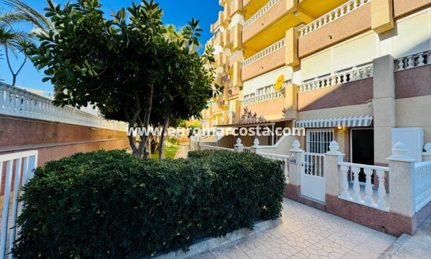 Sale - Apartment / flat - La Mata - Alanis