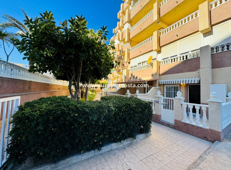 Sale - Apartment / flat - La Mata - Alanis