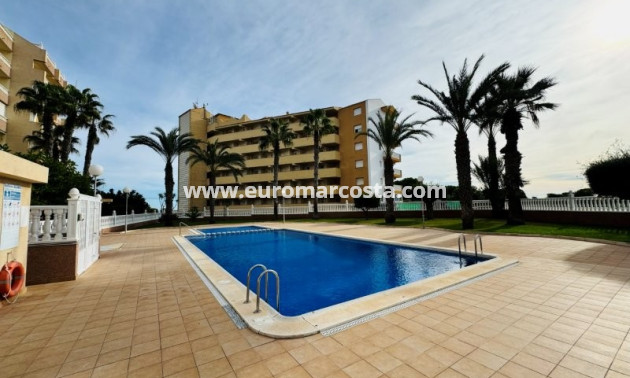 Sale - Apartment / flat - La Mata - Alanis