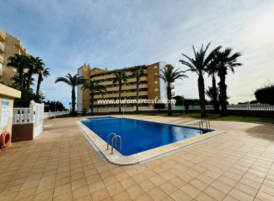 Sale - Apartment / flat - La Mata - Alanis