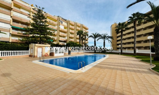 Sale - Apartment / flat - La Mata - Alanis