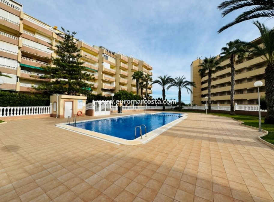 Sale - Apartment / flat - La Mata - Alanis