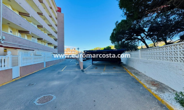 Sale - Apartment / flat - La Mata - Alanis