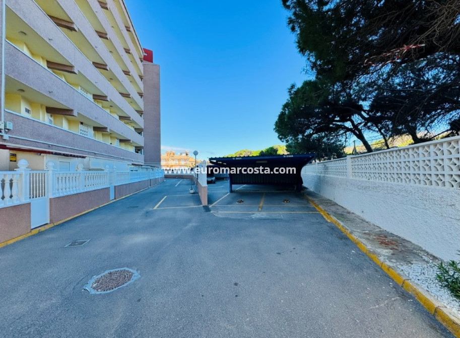 Sale - Apartment / flat - La Mata - Alanis