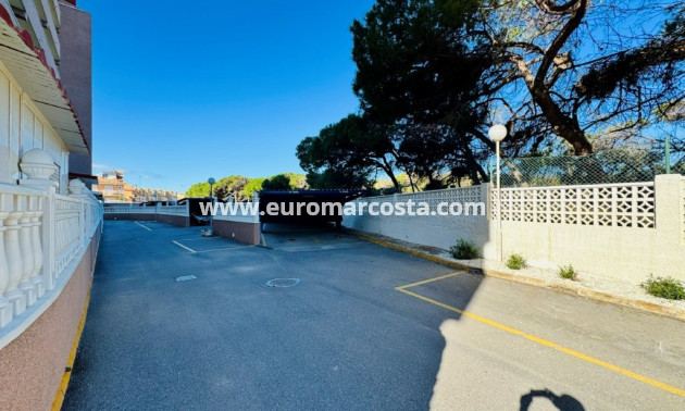 Sale - Apartment / flat - La Mata - Alanis