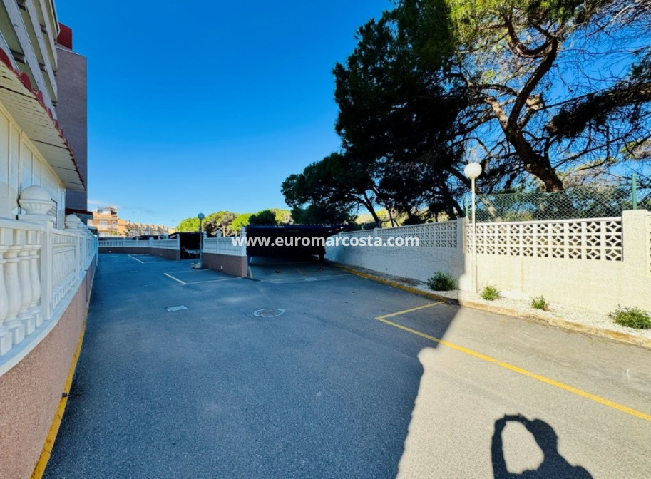Sale - Apartment / flat - La Mata - Alanis