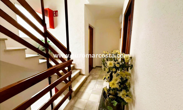Sale - Apartment / flat - Torrevieja - TORREVIEJA