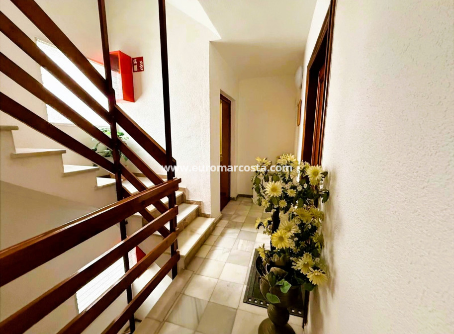 Sale - Apartment / flat - Torrevieja - TORREVIEJA