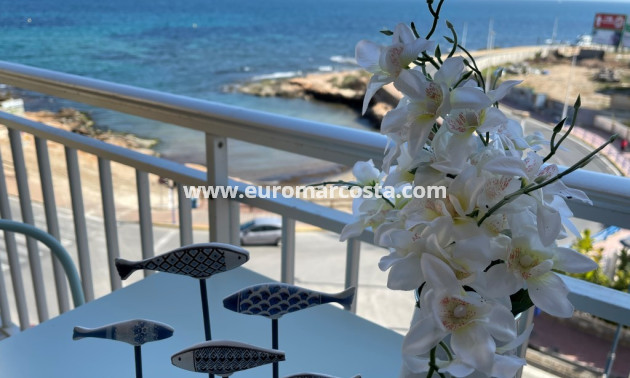 Sale - Apartment / flat - Torrevieja - TORREVIEJA