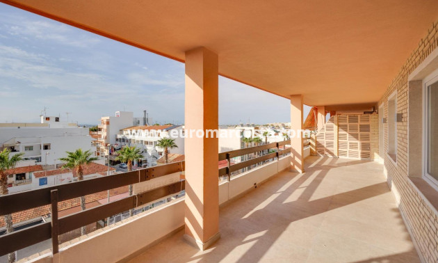 Sale - Apartment / flat - Torrevieja - TORREVIEJA