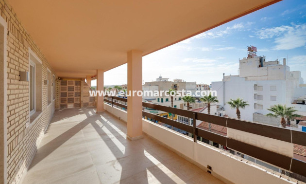 Sale - Apartment / flat - Torrevieja - TORREVIEJA