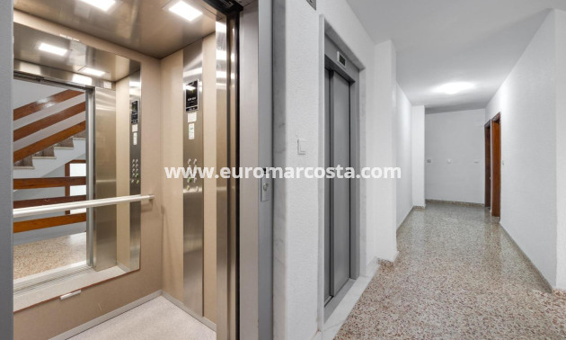Sale - Apartment / flat - Torrevieja - TORREVIEJA