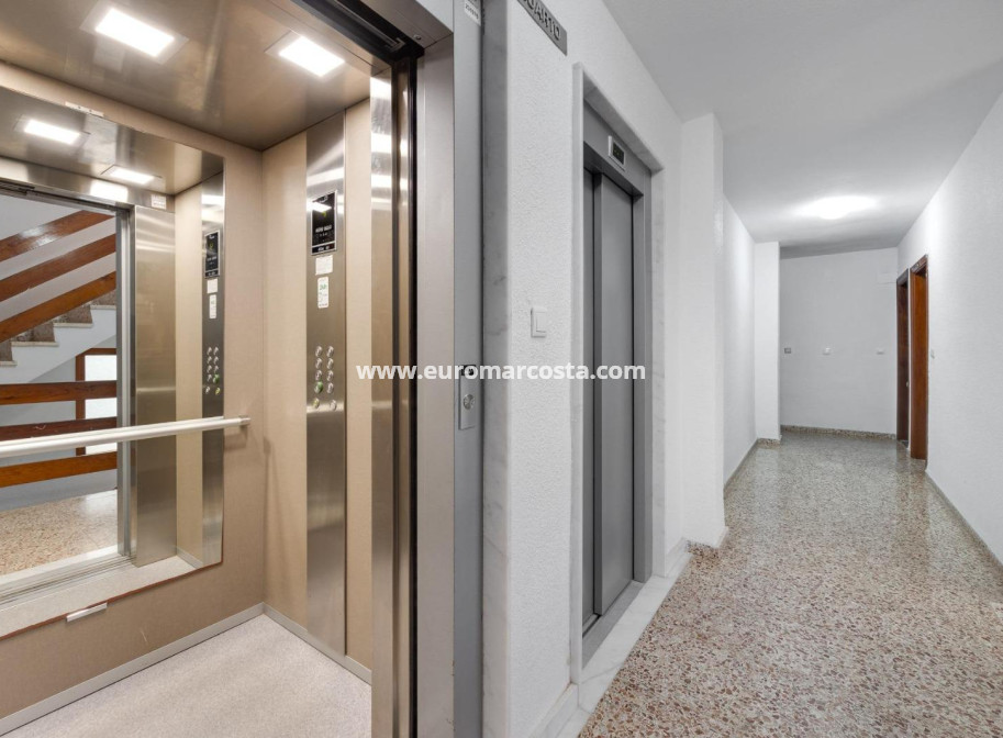 Sale - Apartment / flat - Torrevieja - TORREVIEJA