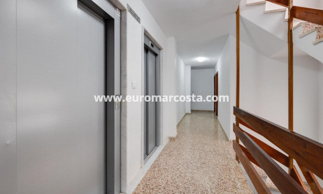 Sale - Apartment / flat - Torrevieja - TORREVIEJA