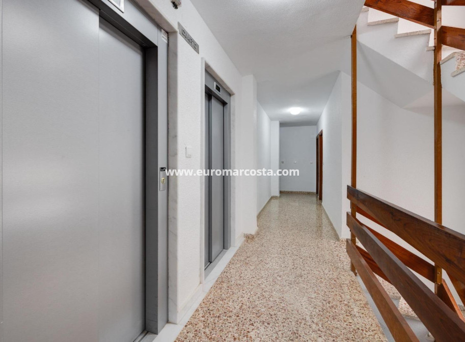 Sale - Apartment / flat - Torrevieja - TORREVIEJA