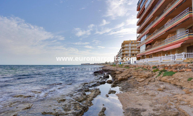 Sale - Apartment / flat - Torrevieja - TORREVIEJA