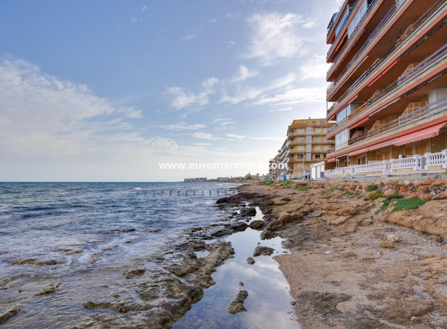 Sale - Apartment / flat - Torrevieja - TORREVIEJA