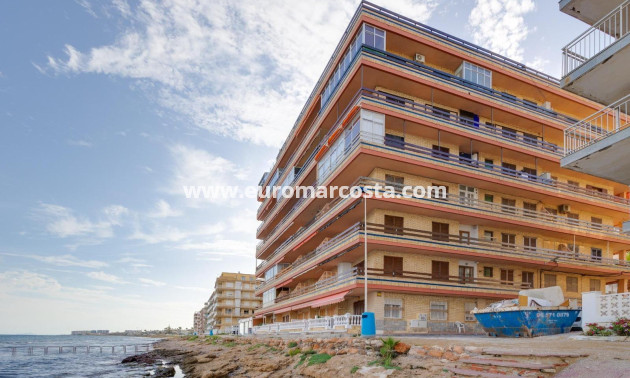 Sale - Apartment / flat - Torrevieja - TORREVIEJA