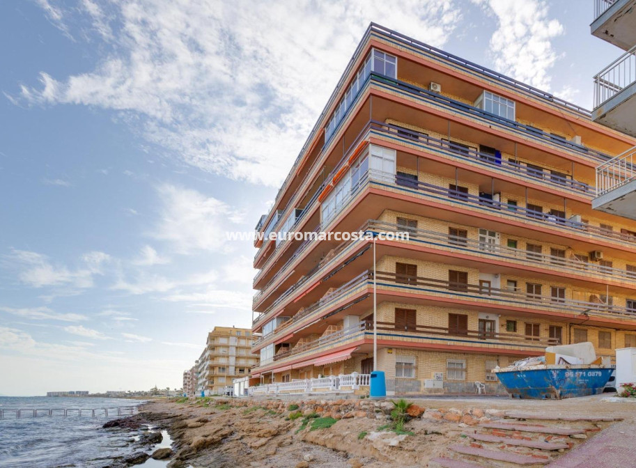 Sale - Apartment / flat - Torrevieja - TORREVIEJA