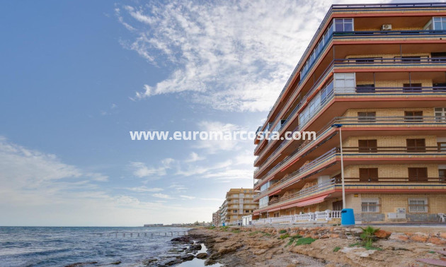 Sale - Apartment / flat - Torrevieja - TORREVIEJA
