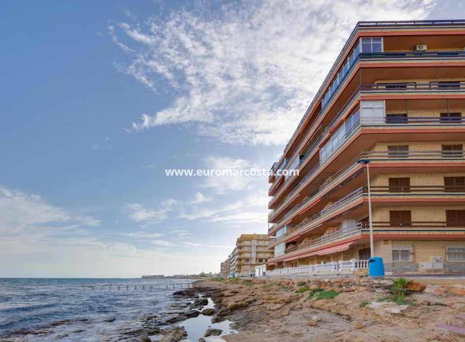 Sale - Apartment / flat - Torrevieja - TORREVIEJA
