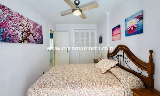 Venta - Adosado - La Mata