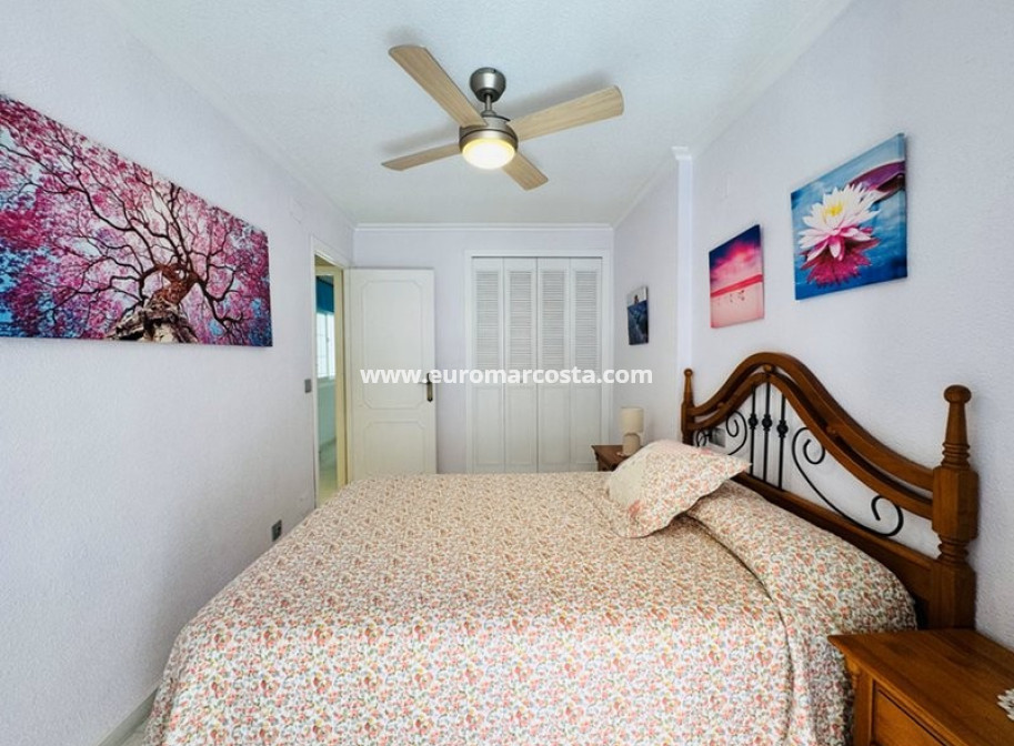 Venta - Adosado - La Mata