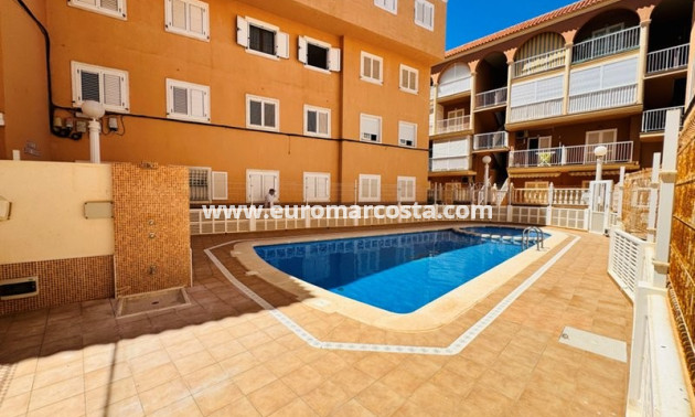 Venta - Adosado - La Mata