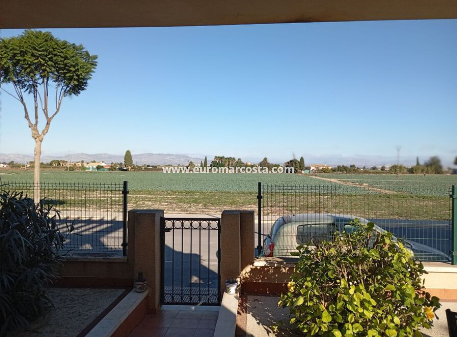 Sale - Villa - Daya Vieja